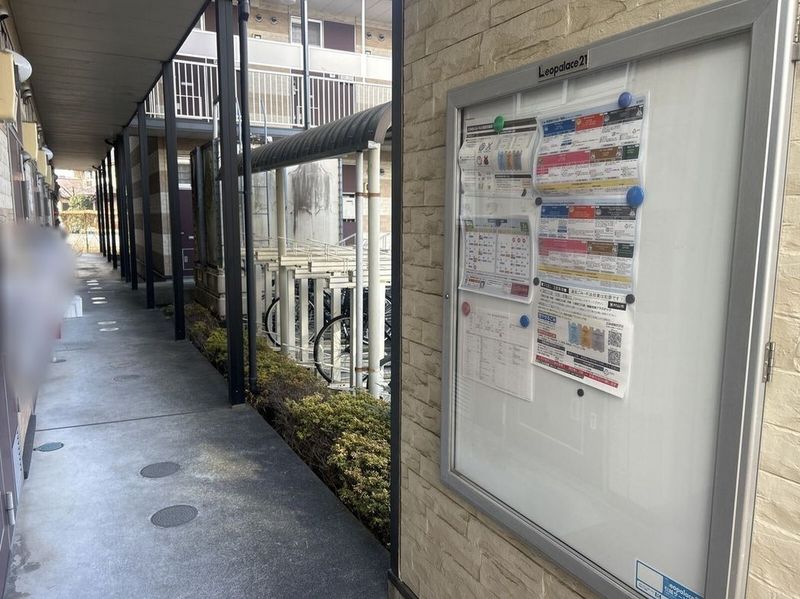 leopalace Pinus 입구