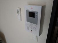 レオネクストシャイン宮内 セキュリティ