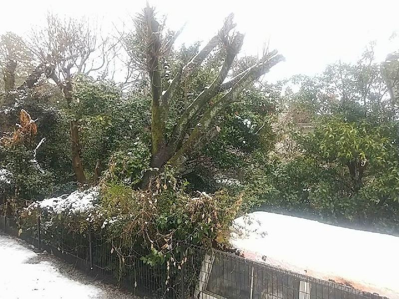 leopalace TAKIYAMA 视野