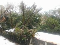 leopalace TAKIYAMA 视野