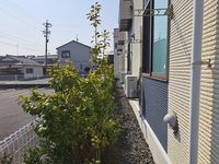 レオネクストＭＡＲＵＹＡＳＵ その他
