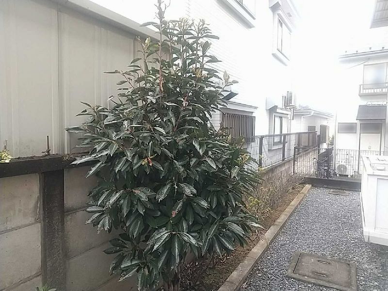 レオパレスサイカチ 眺望