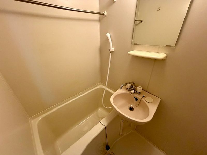 leopalace Cuore Hayashi Bathroom