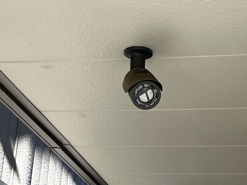 CLEINO Chat Blanc Petit 공용 부분