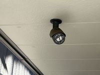 CLEINO Chat Blanc Petit 공용 부분