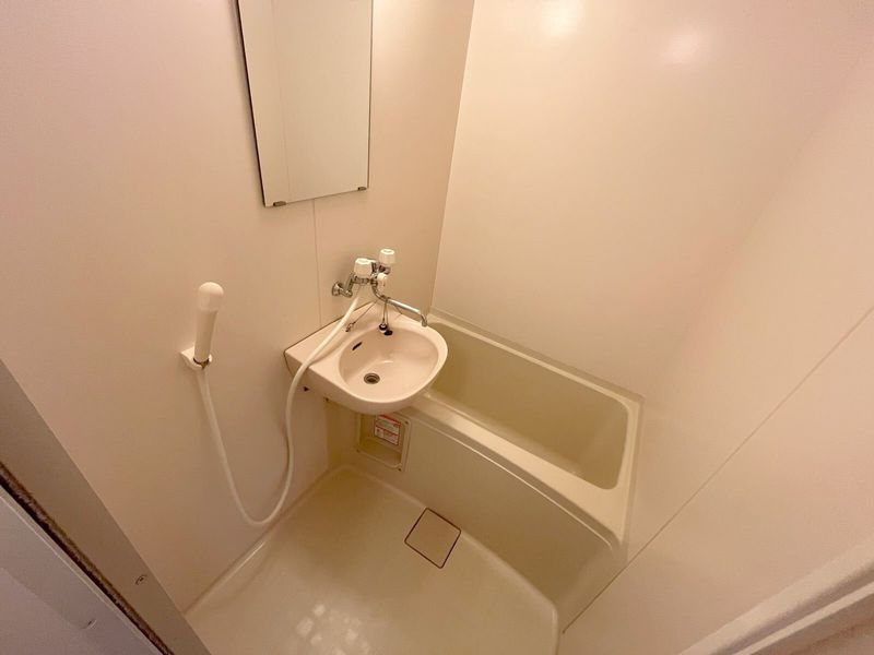 leopalace Fuji Bathroom