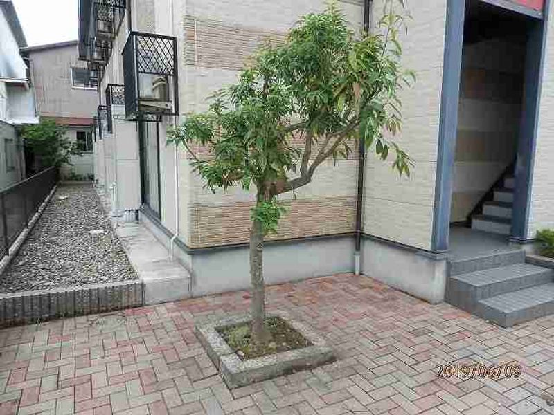 レオパレスハルスウィート２ 共用部分