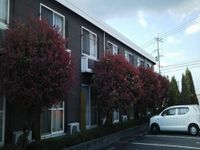 レオパレスチャムフィールド 外観