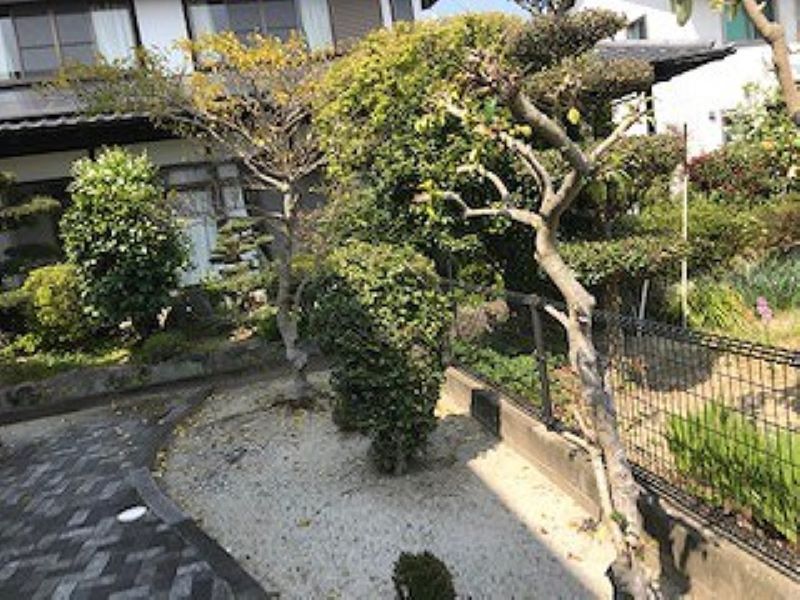 レオパレスさつき その他