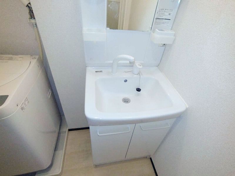 レオネクストサウスフローラ 洗面台
