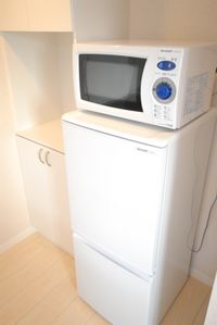 レオネクストプラム undefined