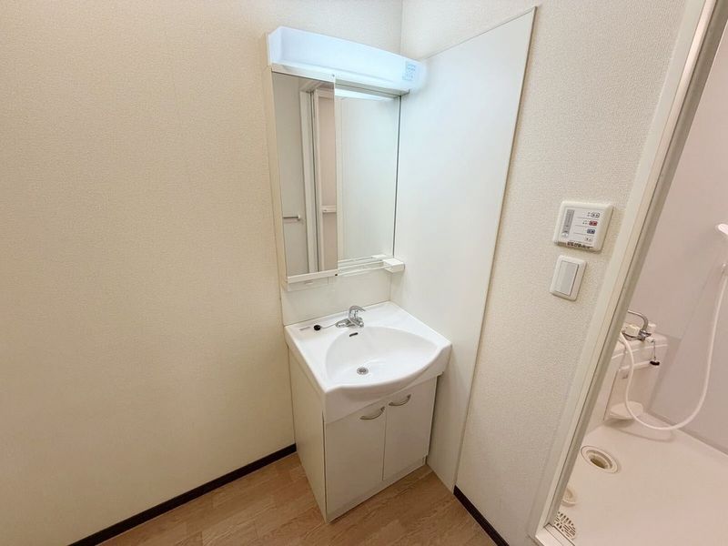 LEONEXT Lake Char Sink