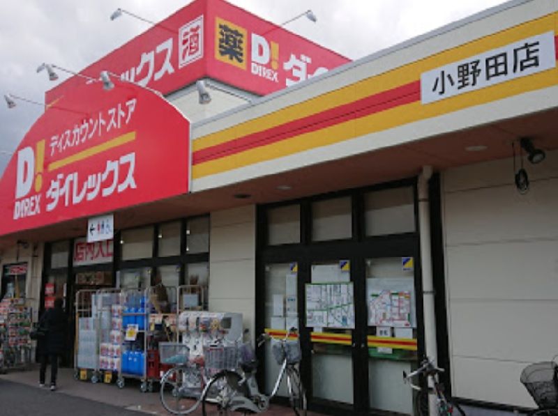 レオネクストディアコート 周辺環境
