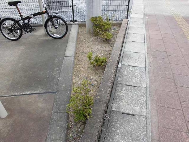 レオパレスあお 庭