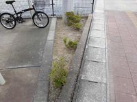 レオパレスあお 庭