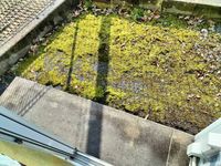 レオパレスのあ バルコニー