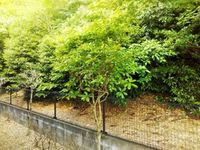 レオパレス日の隈 その他