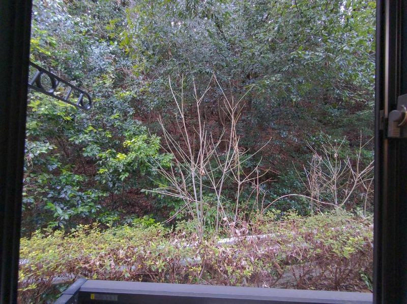 leopalace KAMON VI View