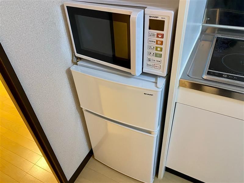 レオネクストサーマル その他