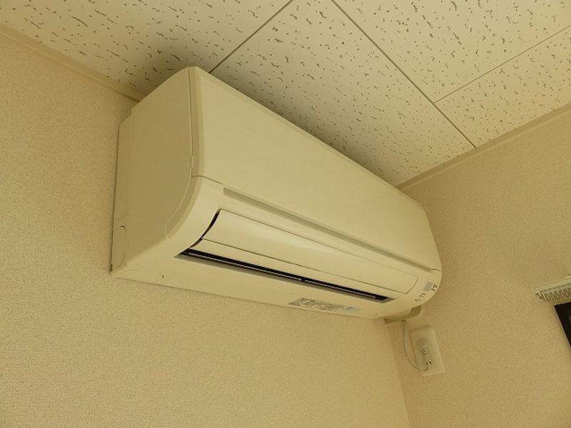 レオネクスト春 その他