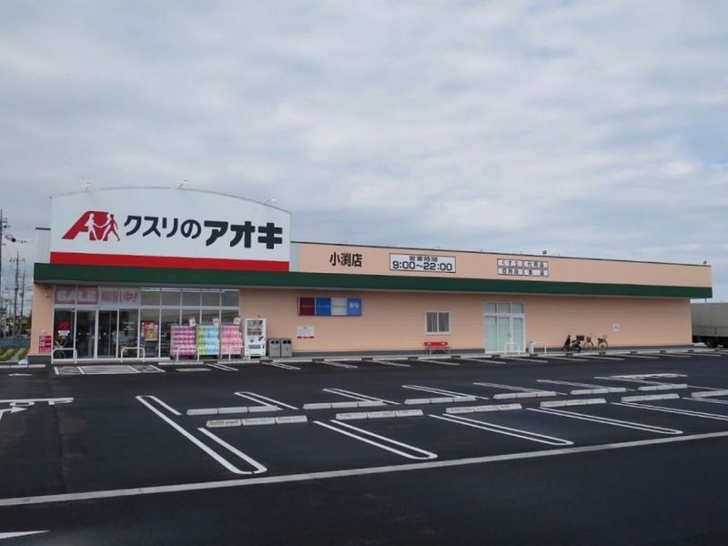 レオパレスグランドパレス春日部 周辺環境