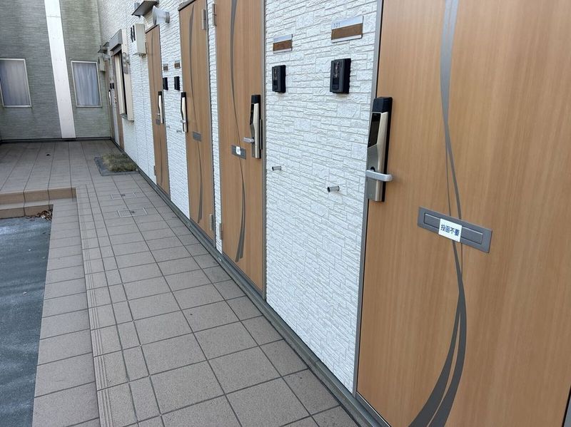 CLEINO Sinfonia Khác