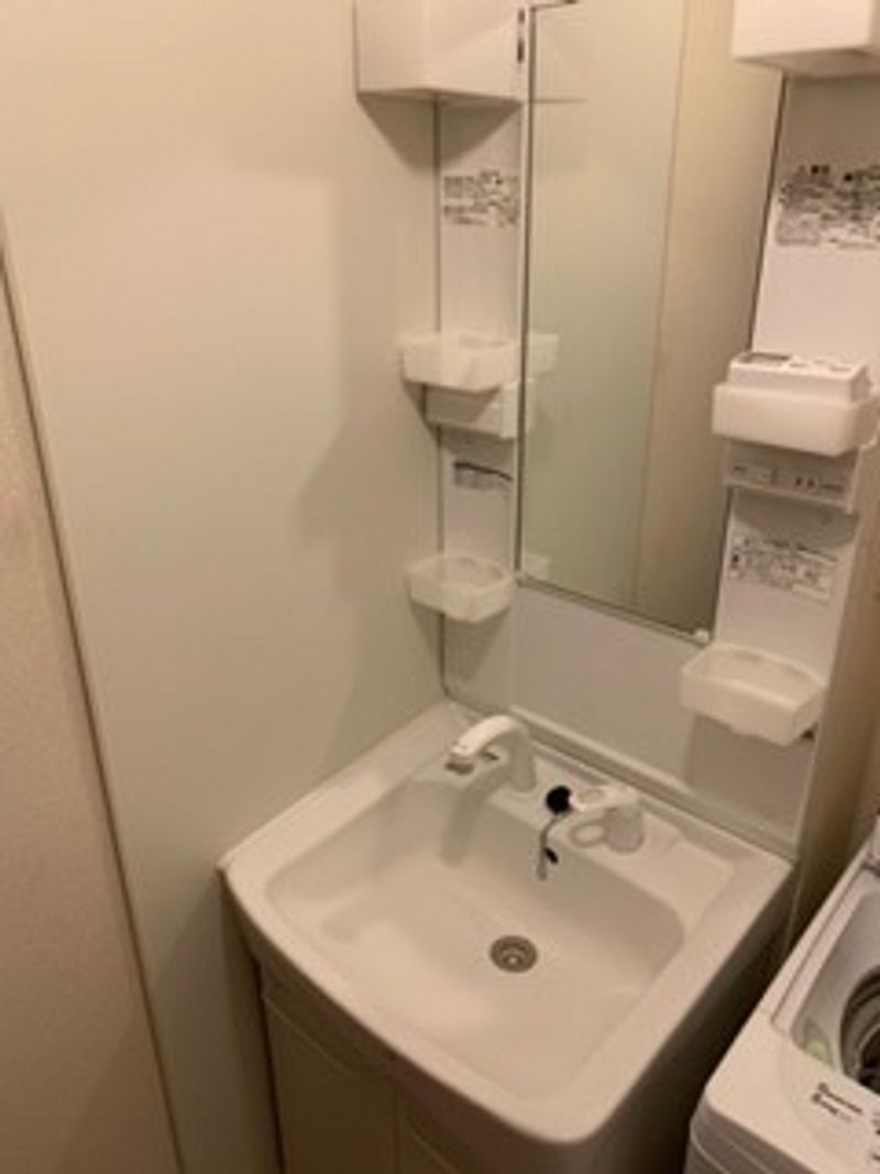 レオネクスト北条 洗面所