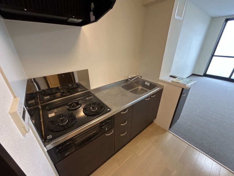 LEONEXT Les Marnies 주방