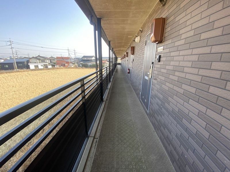 LEONEXT Kasade Esperanza Other