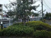 レオパレスシャローⅢ その他