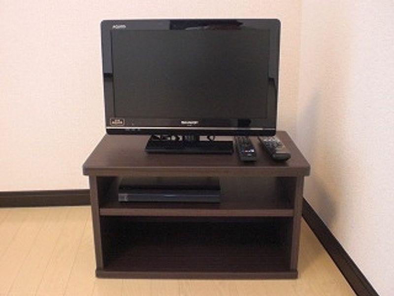 レオネクストラグレージュⅡ その他