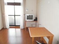 レオパレスカワシマⅡ 居間