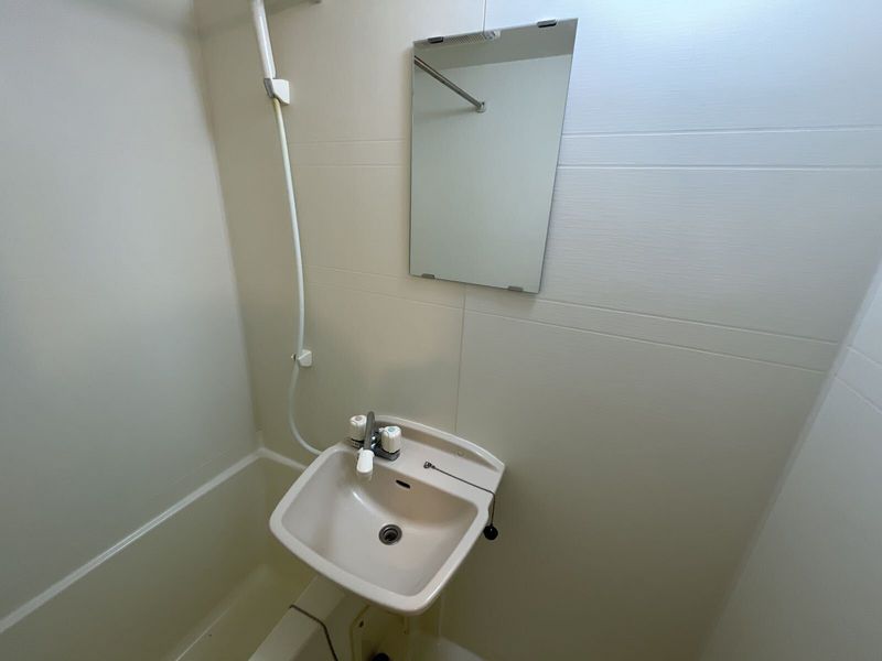 LEONEXT Livingston Sink