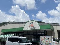 レオパレスアイランドパレス 周辺環境