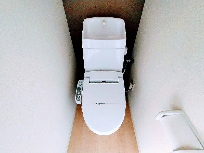 ミランダあおい トイレ