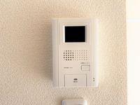 レオネクストフルール セキュリティ