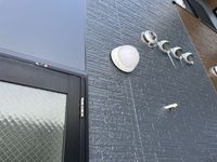 leopalace Lively III 共用部分