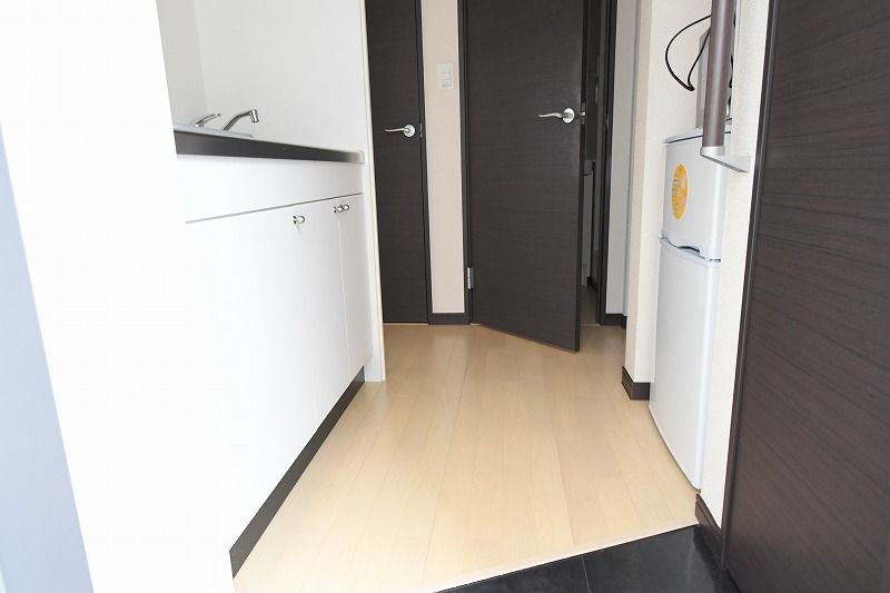 レオネクストヴィラージュ鷺宮 玄関