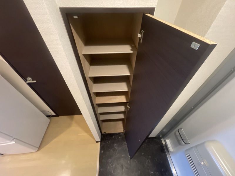 LEONEXT Kuminoki 기타