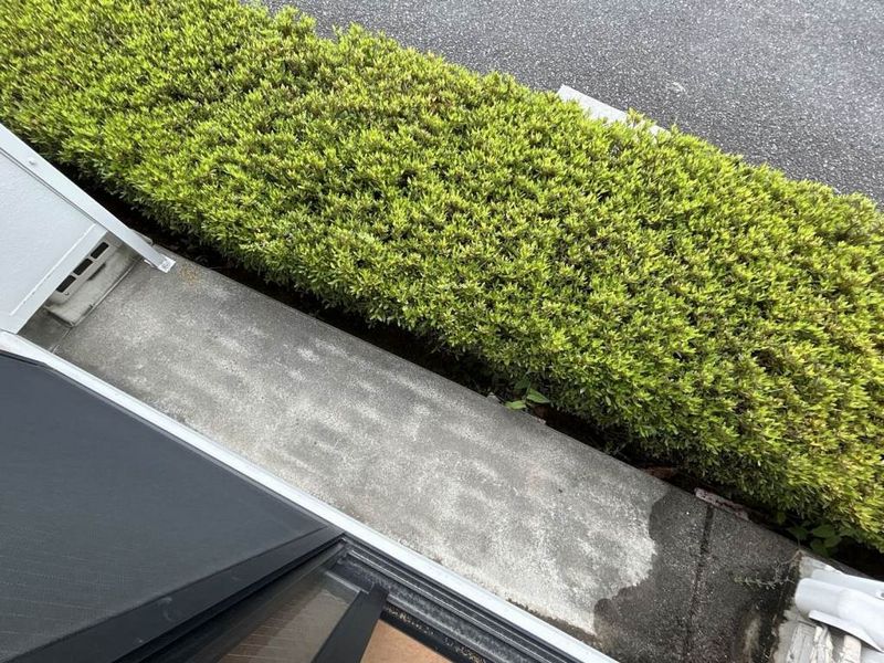 leopalace Myu 기타