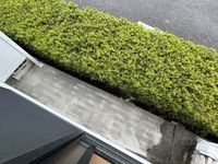 leopalace Myu 기타