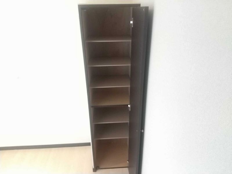 レオネクストスィングアイランド その他