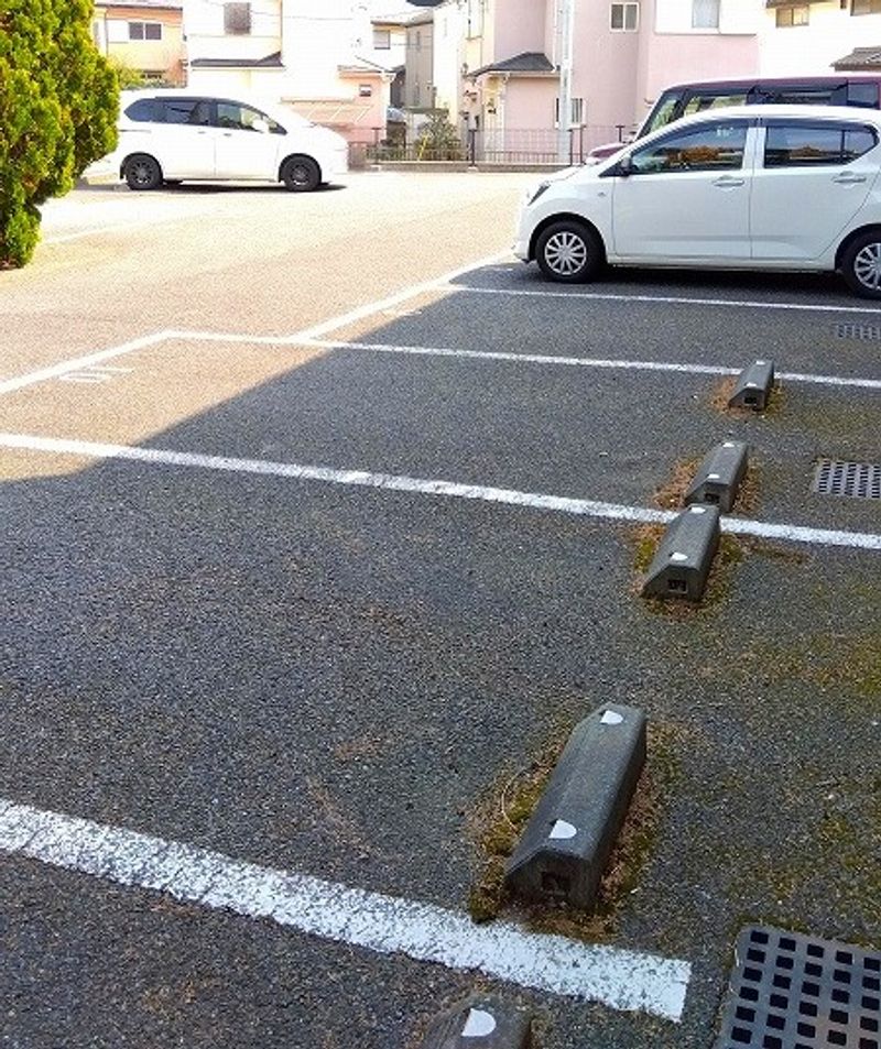 レオパレスゴールドⅡ 駐車場