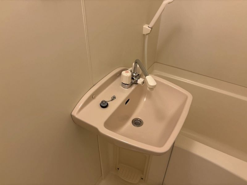 leopalace Kozuchi Sink