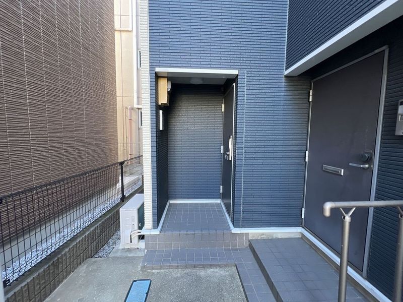 LEONEXT Seeds Tachibana Other