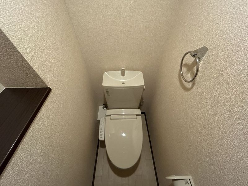 LEONEXT Brown Heights Toilet