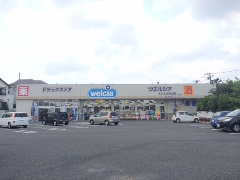 レオネクストプランドール 周辺環境