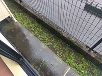 レオパレスｅｍｉ バルコニー
