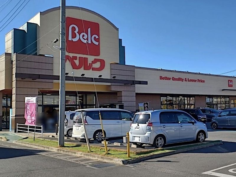 レオパレスハロー越谷 周辺環境