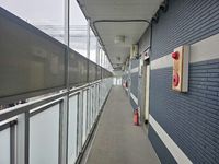 LEONEXT Eclair Kita Imaichi Khác